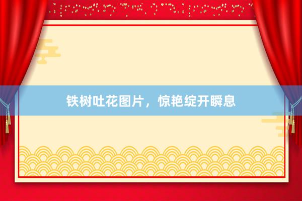 铁树吐花图片，惊艳绽开瞬息