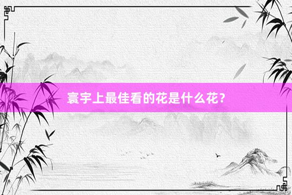 寰宇上最佳看的花是什么花?