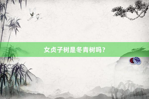 女贞子树是冬青树吗？