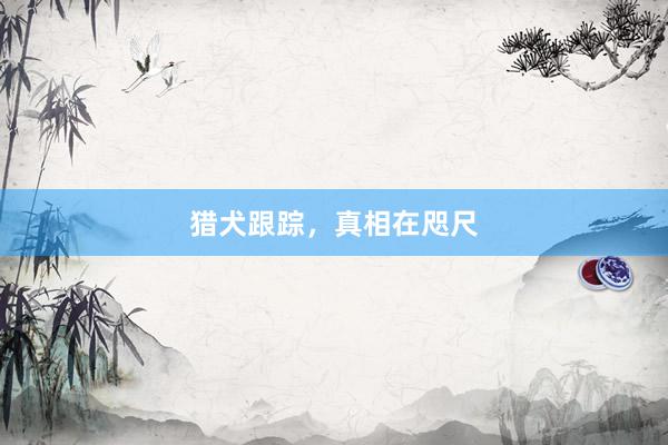 猎犬跟踪,真相在咫尺