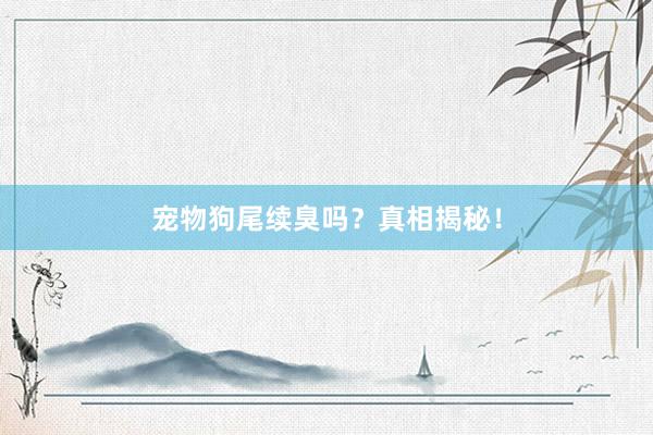 宠物狗尾续臭吗？真相揭秘！